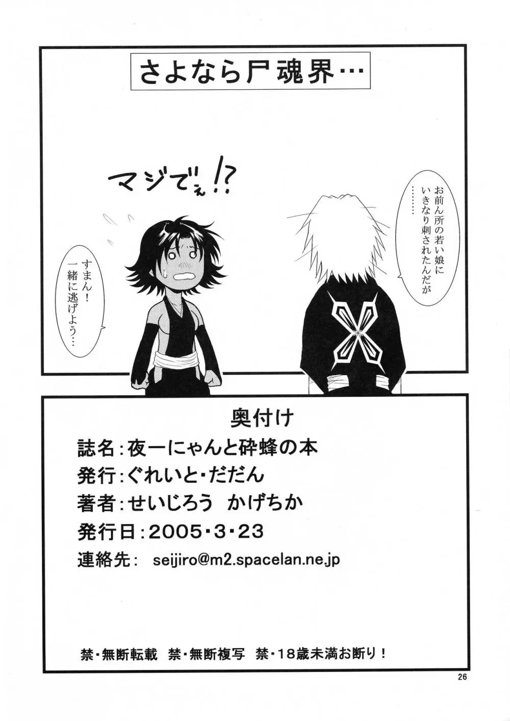 夜一にゃんと砕蜂の本 Page.26