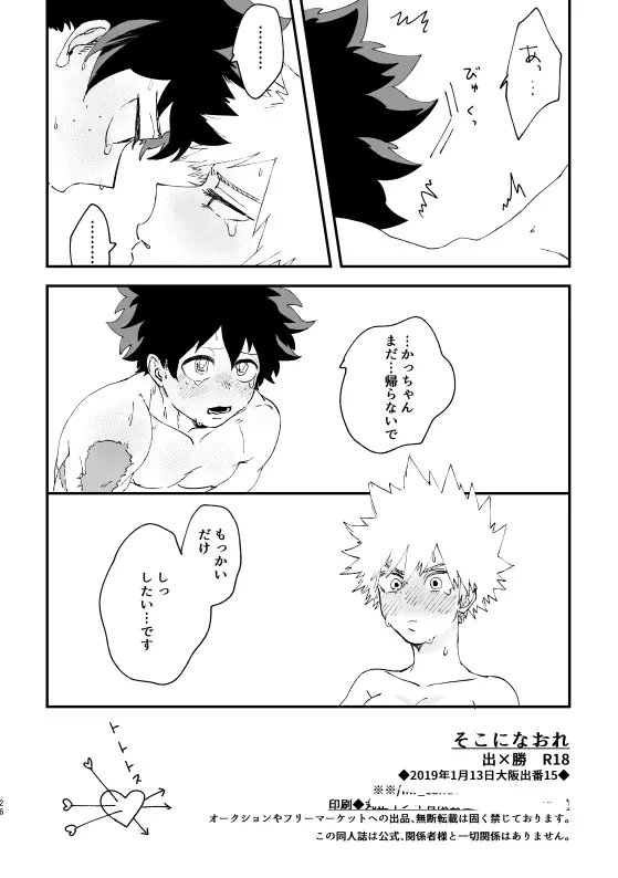 (持ち込み) [My Hero Academia] [JP] Page.25