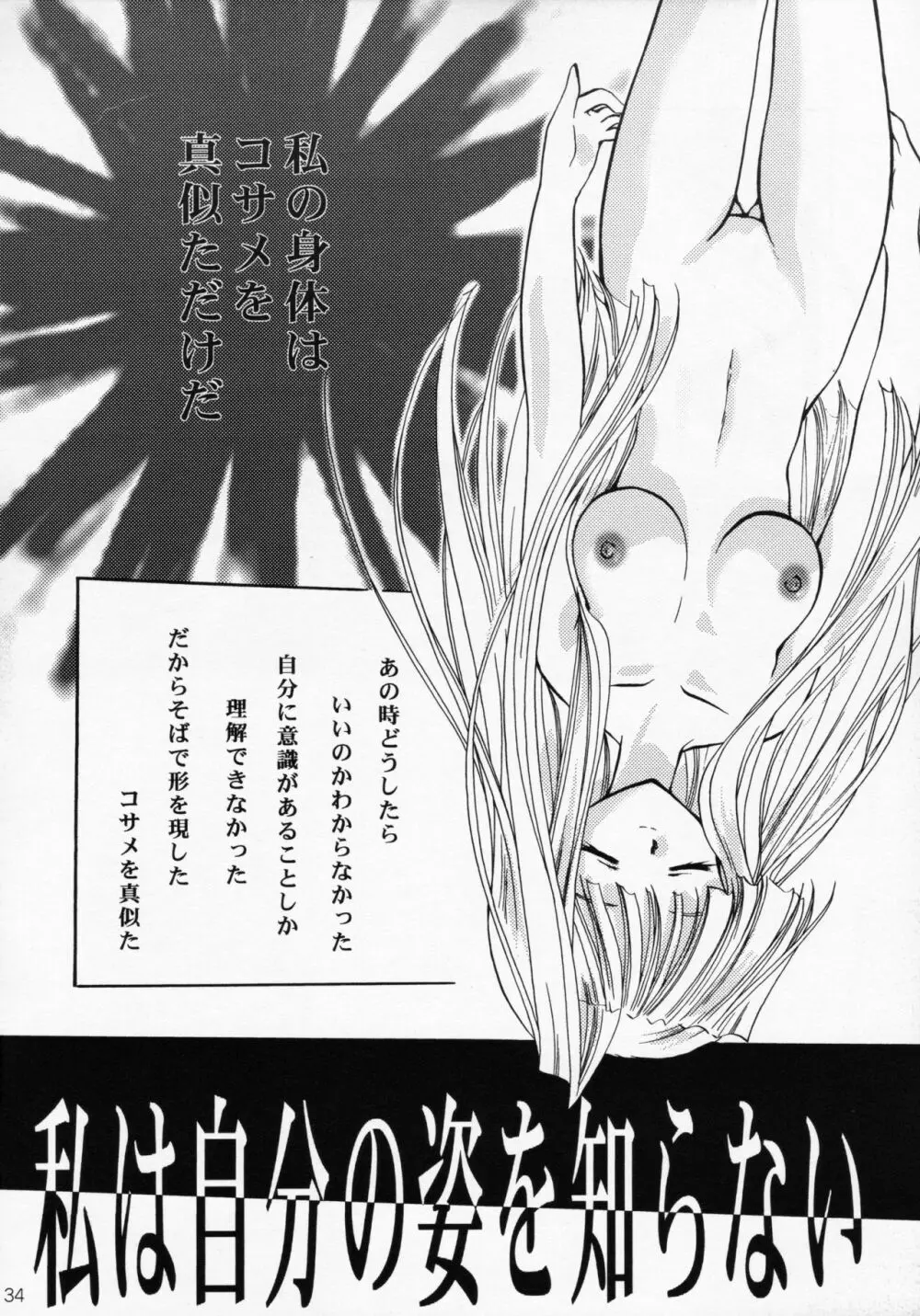 王女様とマスターシュ Page.33