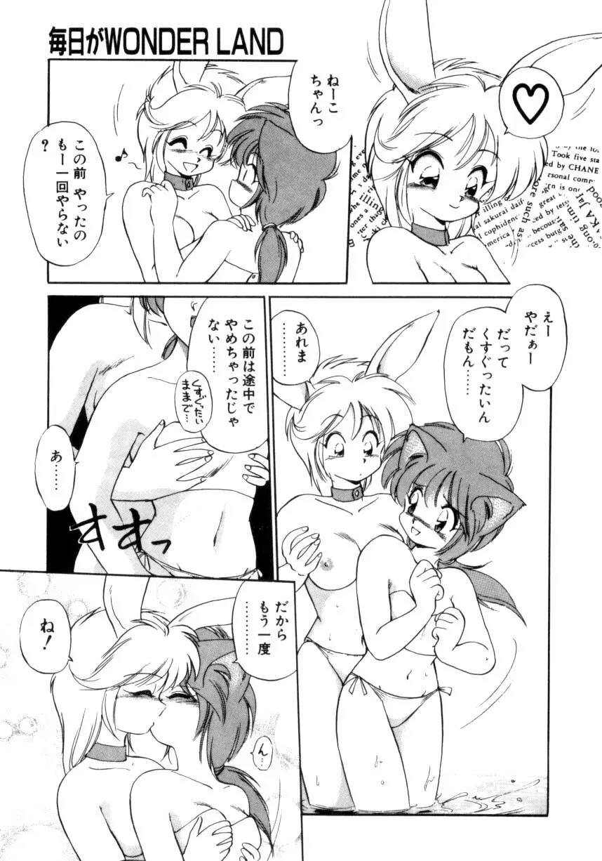 毎日がWONDER LAND Page.14