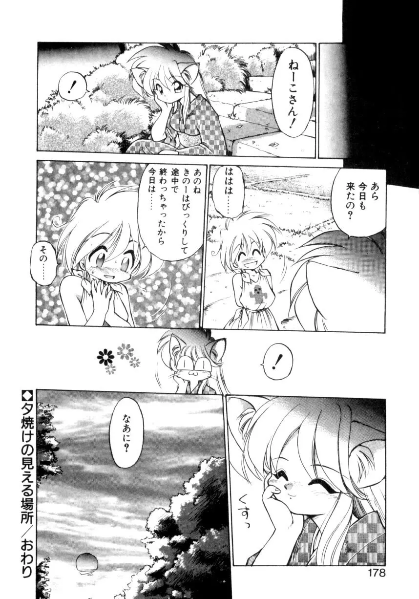 毎日がWONDER LAND Page.173