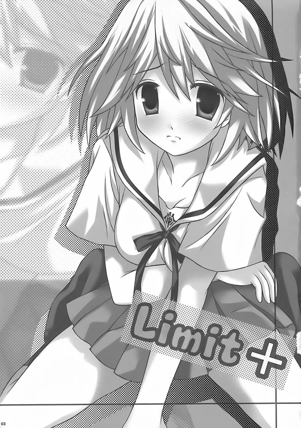 LIMIT PLUS Page.2