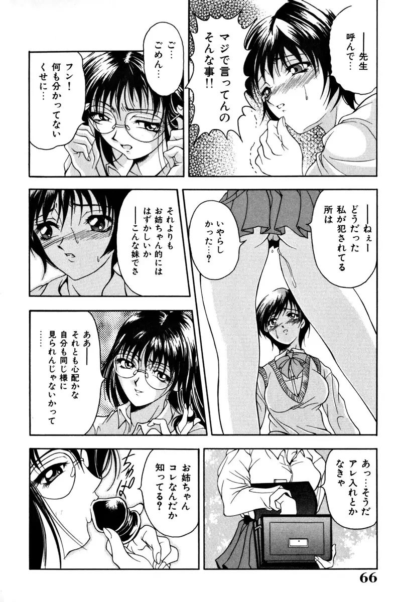 淑女凌辱 Page.68