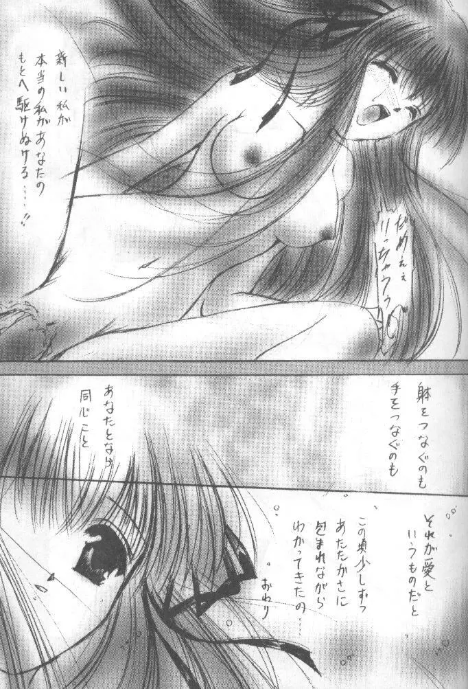 あの澄んだ涙のように Page.7