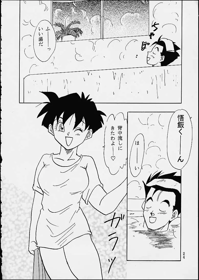 Z Page.24