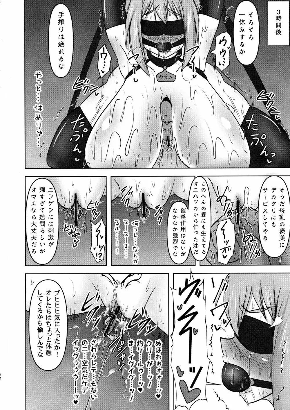 煌盾戦姫エルセイン VANQUISHED SHIELD 3 Page.14