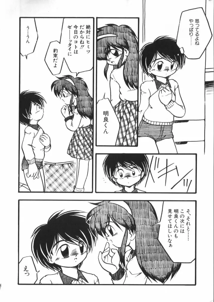 妖精日記 第4号 Page.160