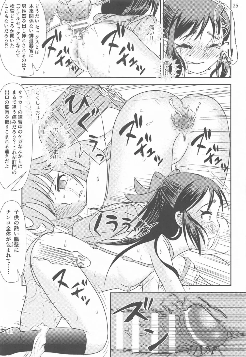 いちごの蕾とミントの苗床 Page.26