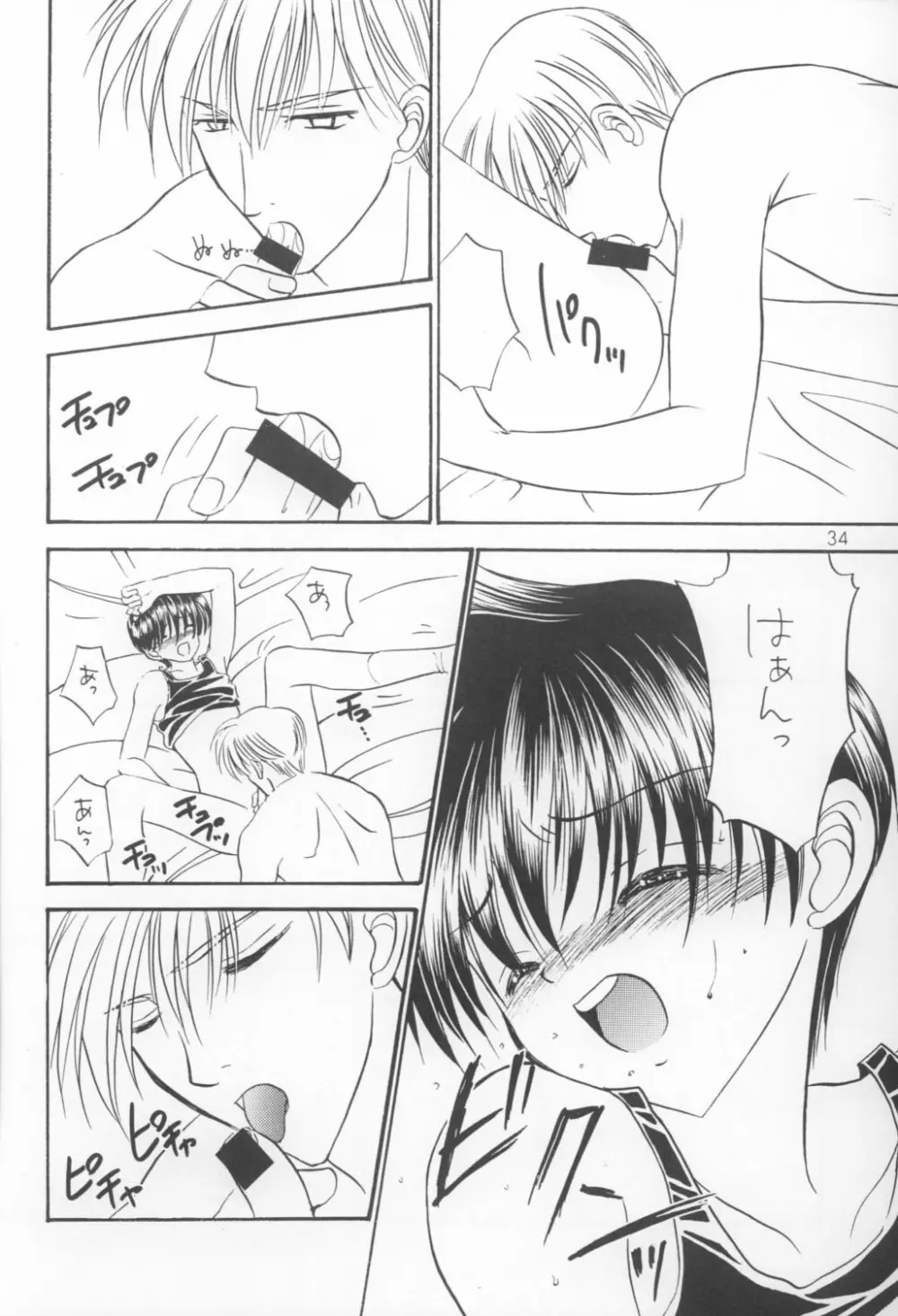 美少年緊縛日誌VIII Page.33