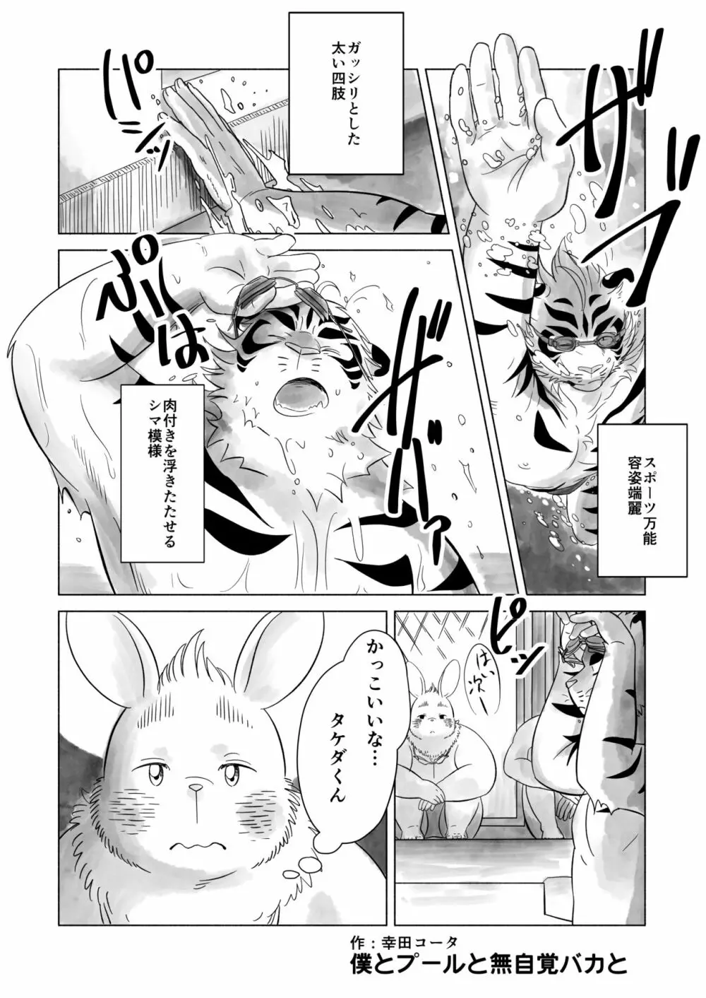 Koda_kota - Bunny and Tiger + extras Page.2