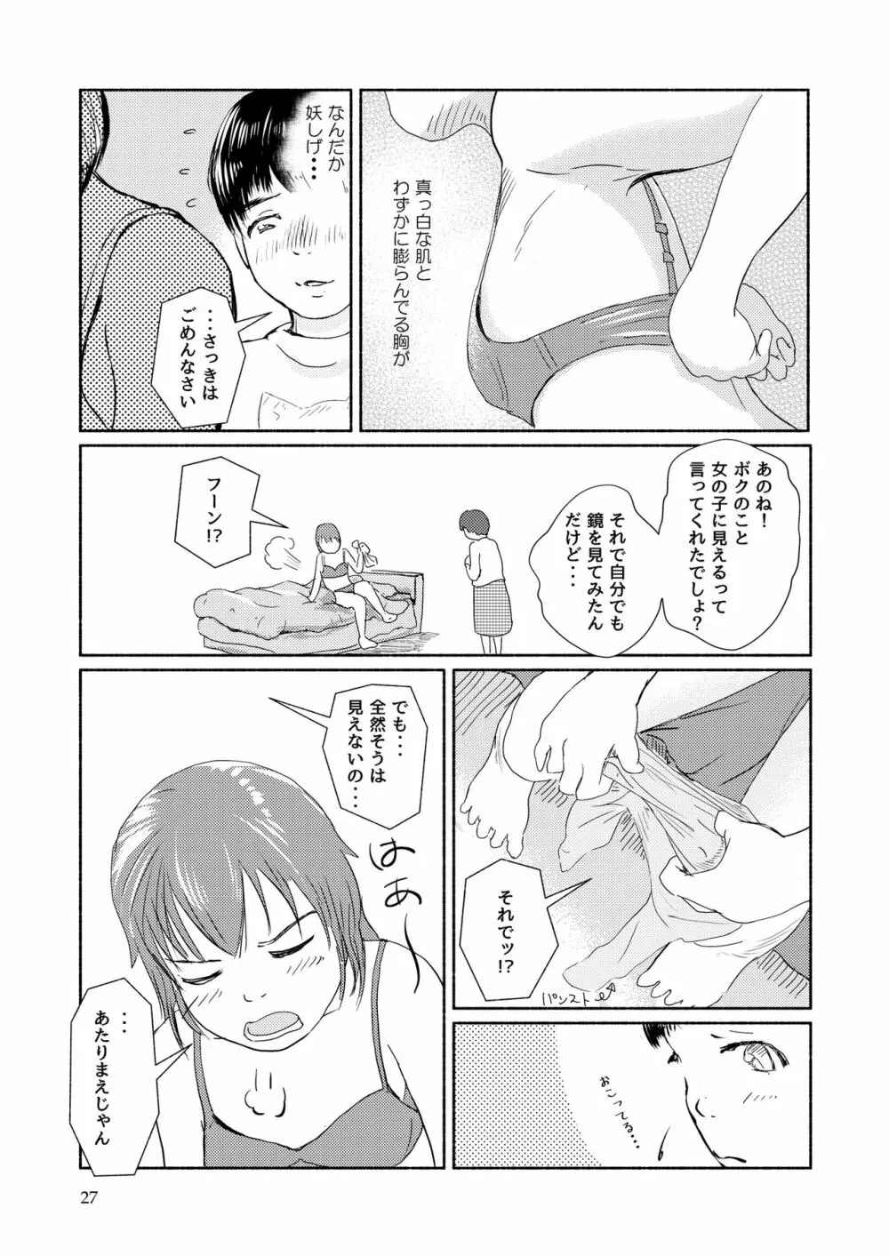 メタモルフォーゼ21vol.1 Page.27