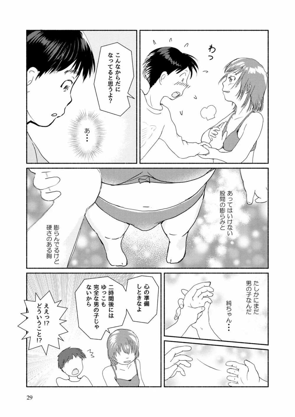 メタモルフォーゼ21vol.1 Page.29