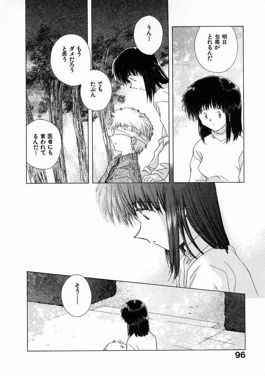 透明な鳥 Page.101