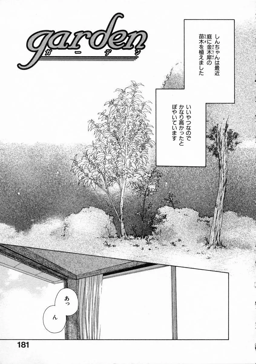 透明な鳥 Page.186