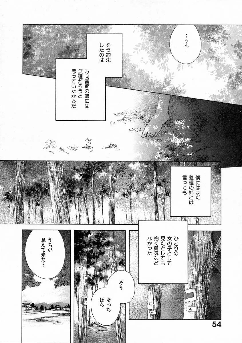 透明な鳥 Page.59