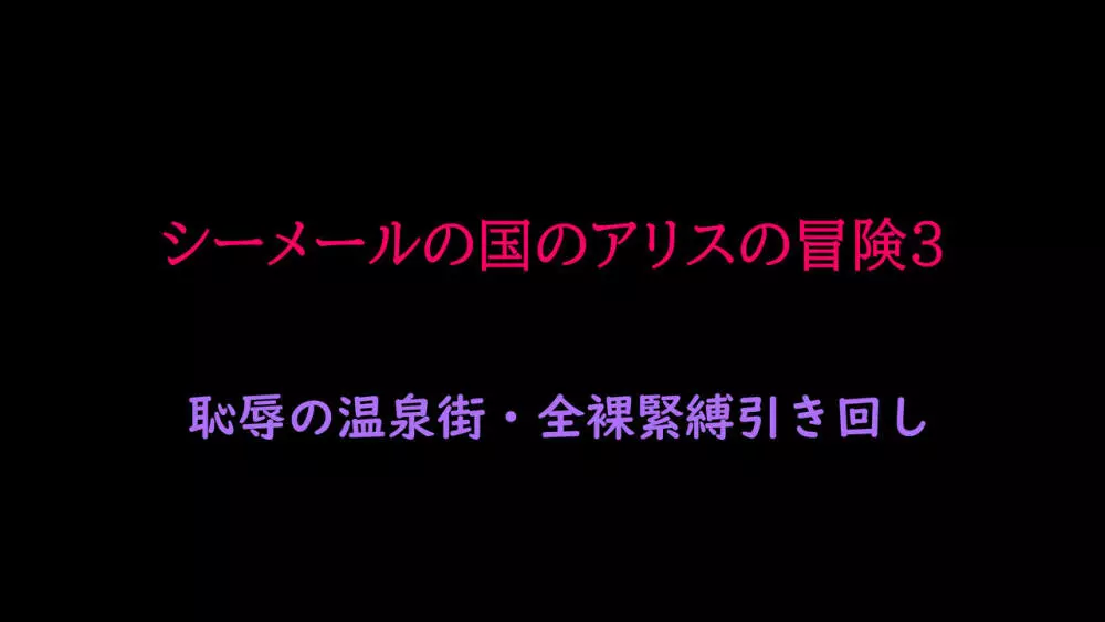シーメールの国のアリスの冒険3 恥辱の温泉街・全裸緊縛引き回し Page.2