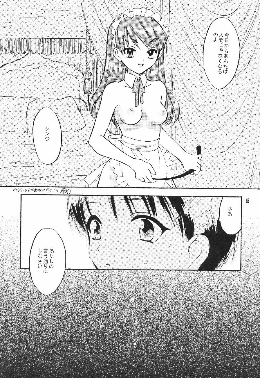 シンジマニアツウシン Page.15