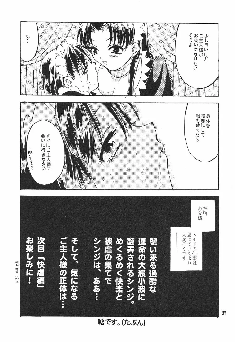 シンジマニアツウシン Page.37