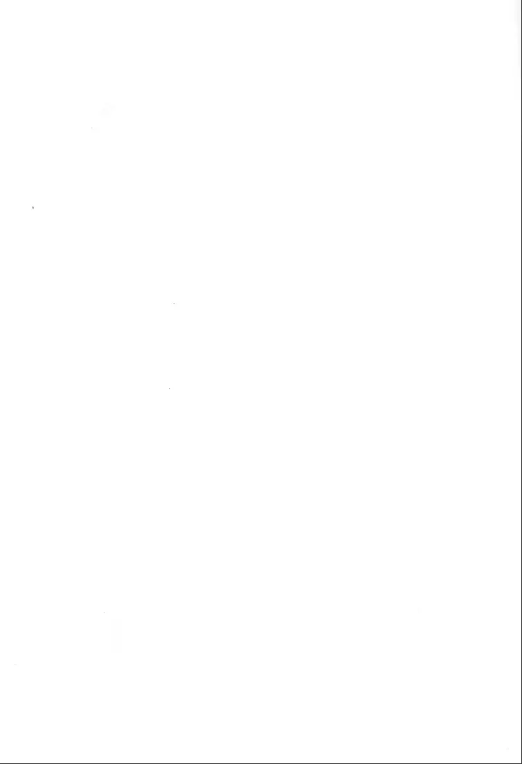 42×17 Page.30