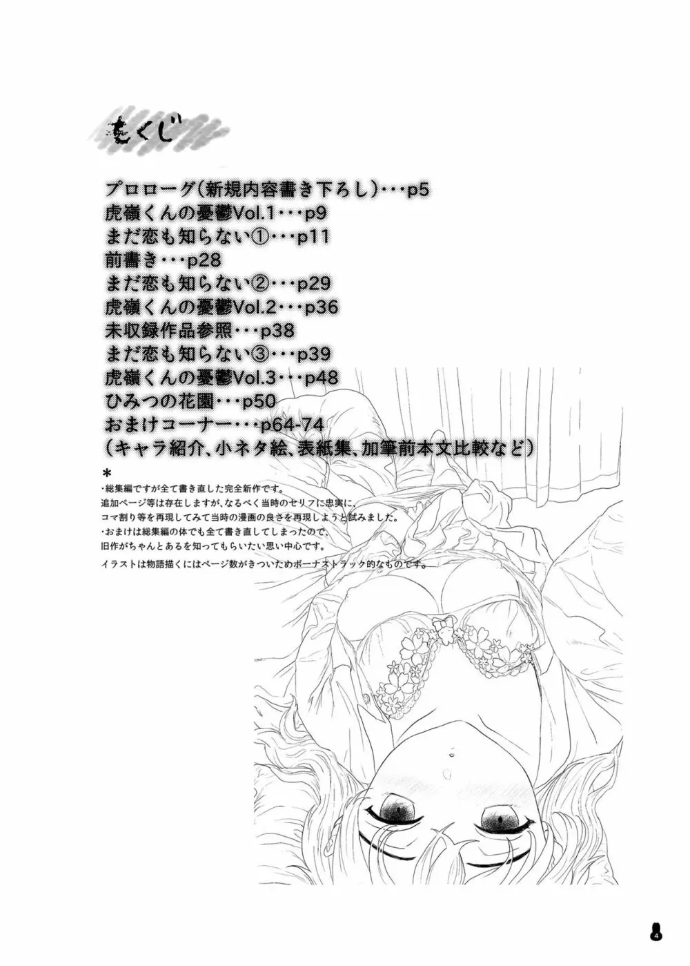 つめえろほんおまんこEX2 Page.4