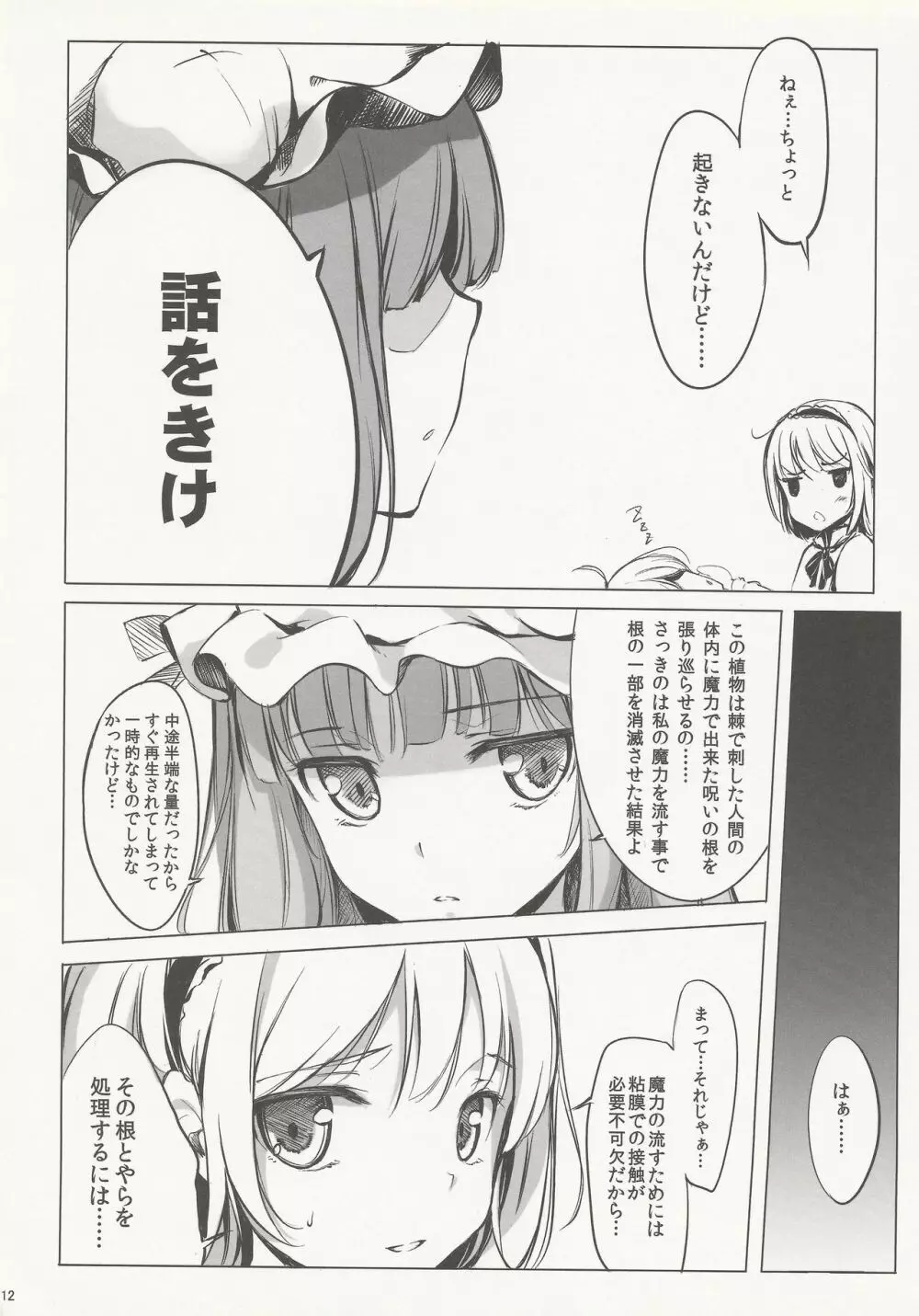 SLEEPING MAGE ‐魔法の森の眠り姫‐ 劇毒少女 Publication Number VII Page.11