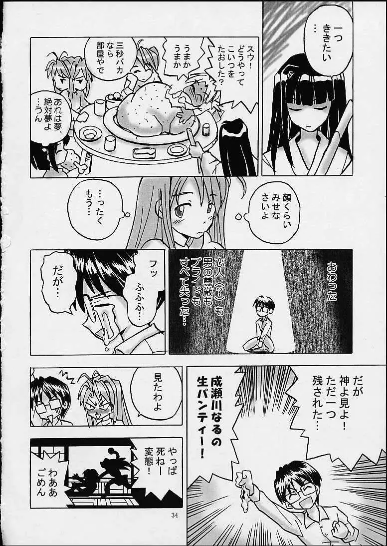 しのぶな Page.33