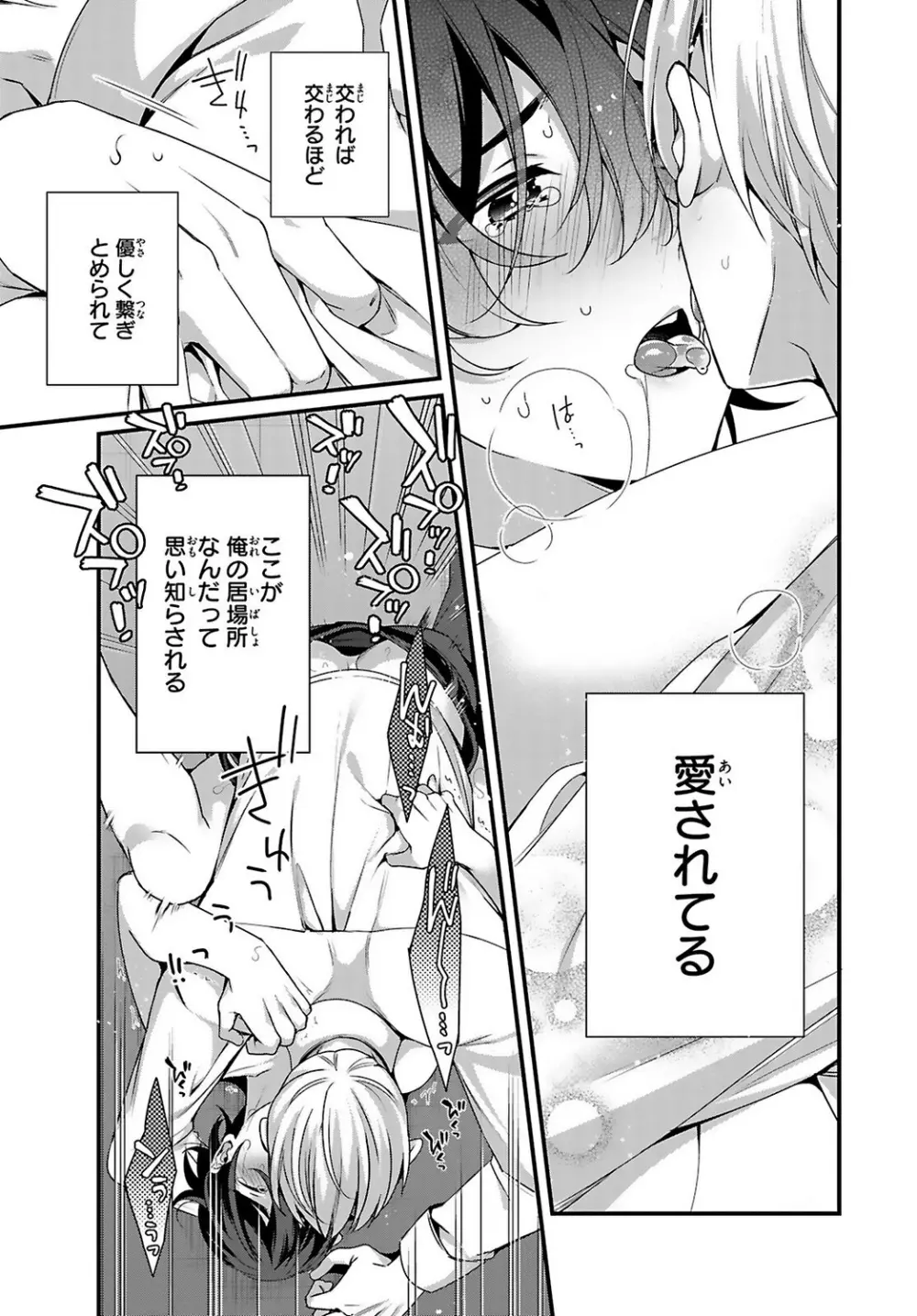 兄を嫁に娶ります~今度は手放さない~R18版1-4巻 Page.104