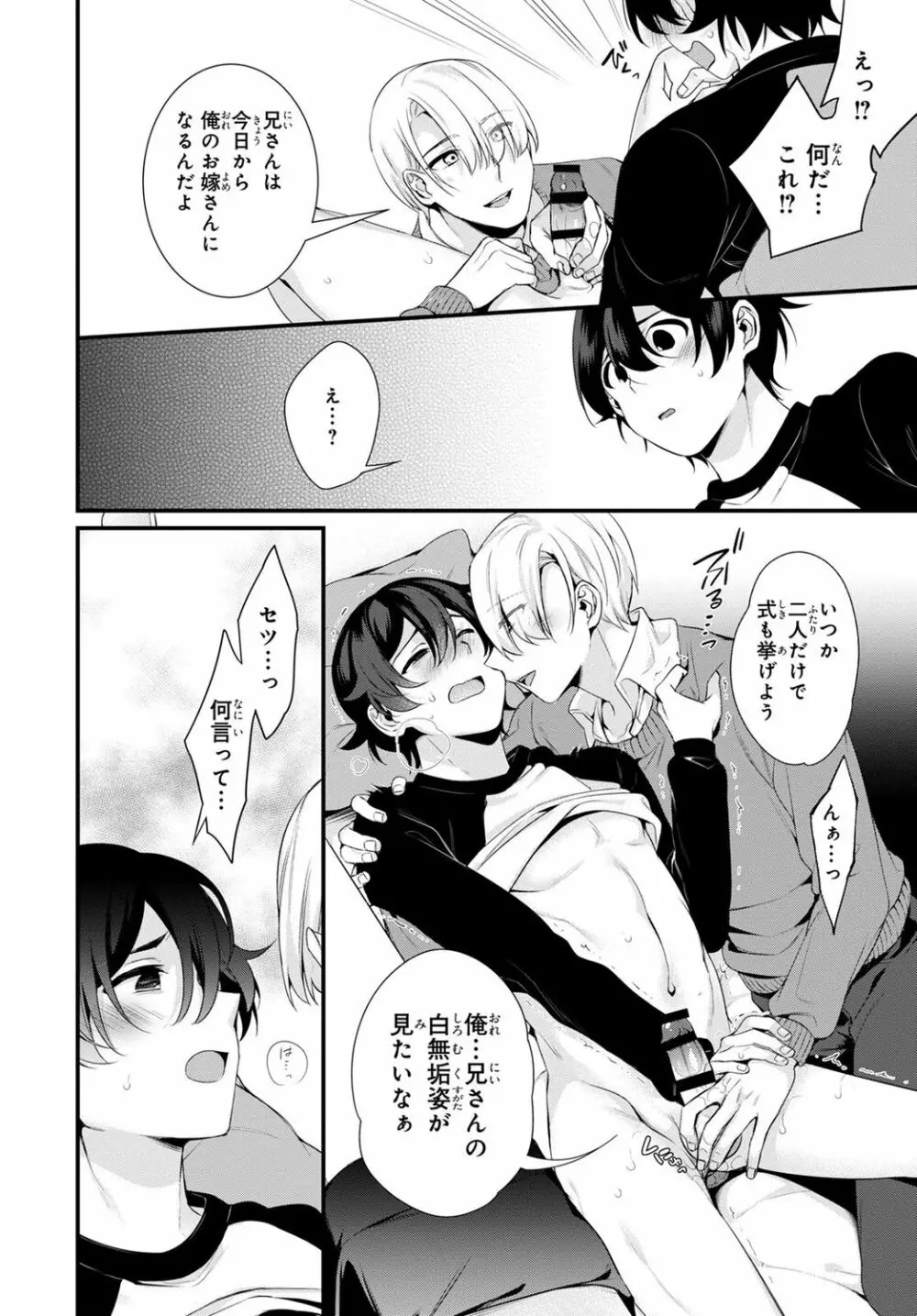 兄を嫁に娶ります~今度は手放さない~R18版1-4巻 Page.24