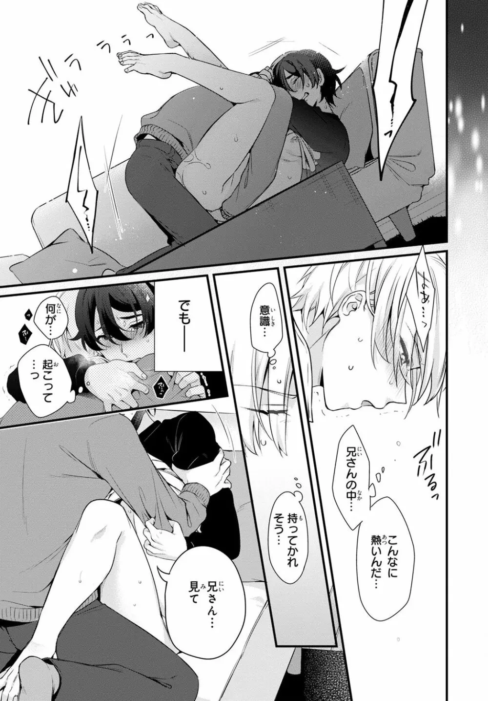 兄を嫁に娶ります~今度は手放さない~R18版1-4巻 Page.43