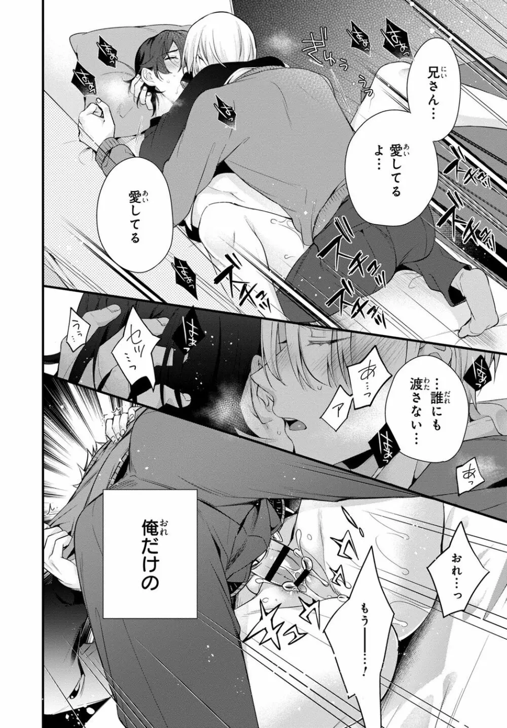 兄を嫁に娶ります~今度は手放さない~R18版1-4巻 Page.48