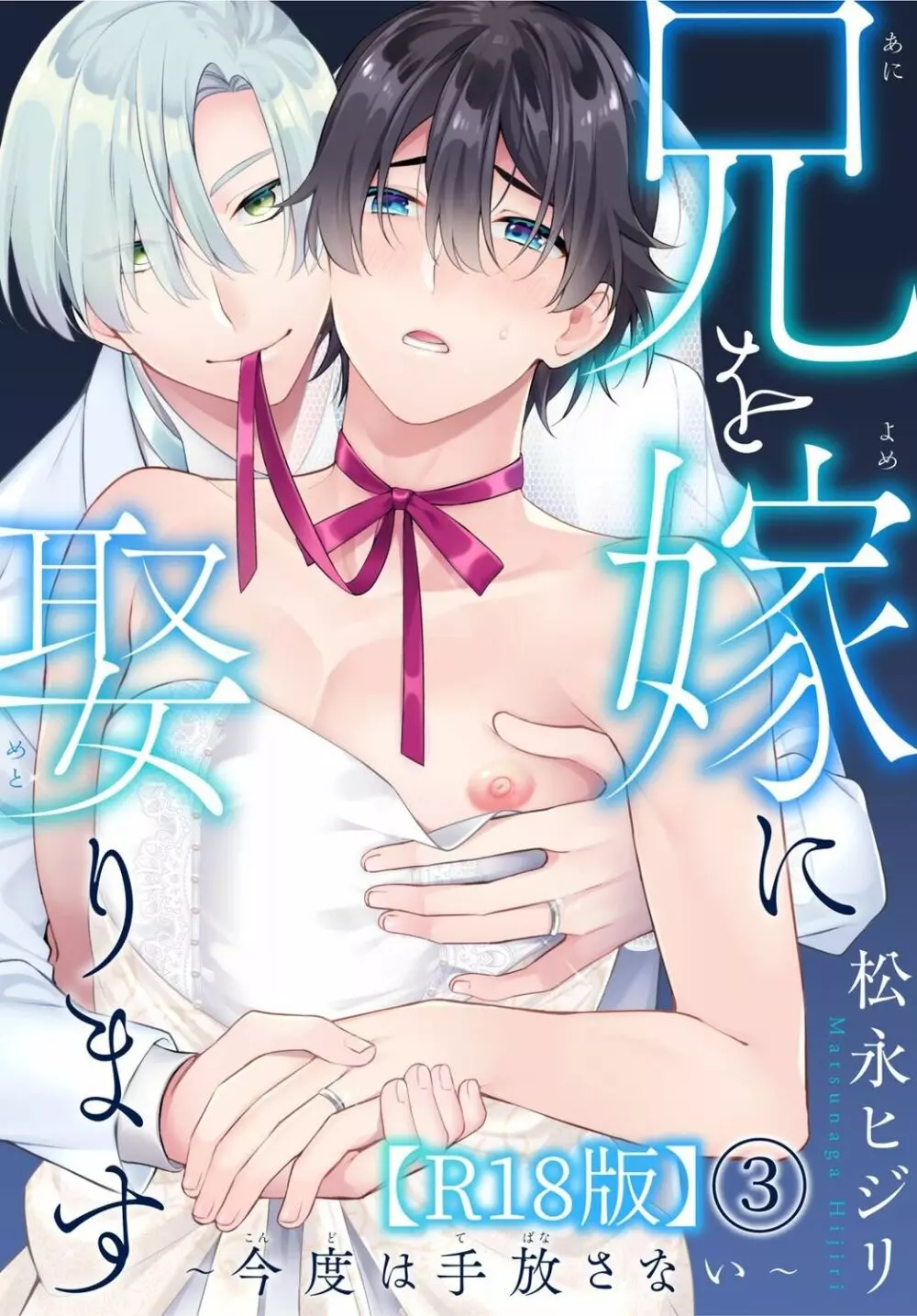 兄を嫁に娶ります~今度は手放さない~R18版1-4巻 Page.66