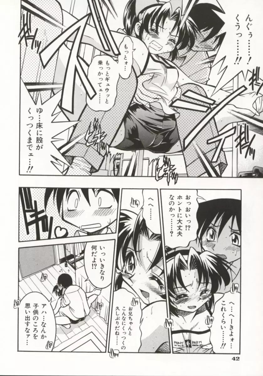 ポニー牧場 Page.47