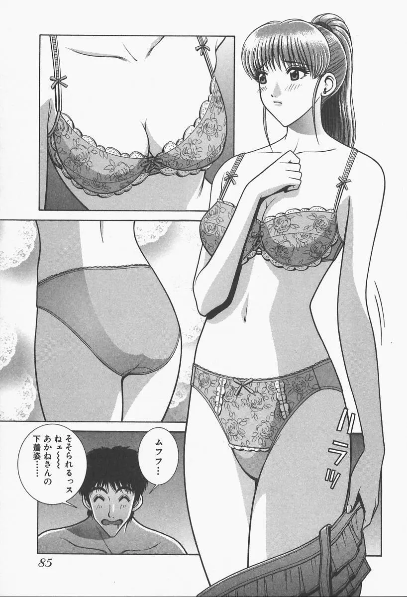 VIVA 素敵なお姉さん vol.1 Page.87