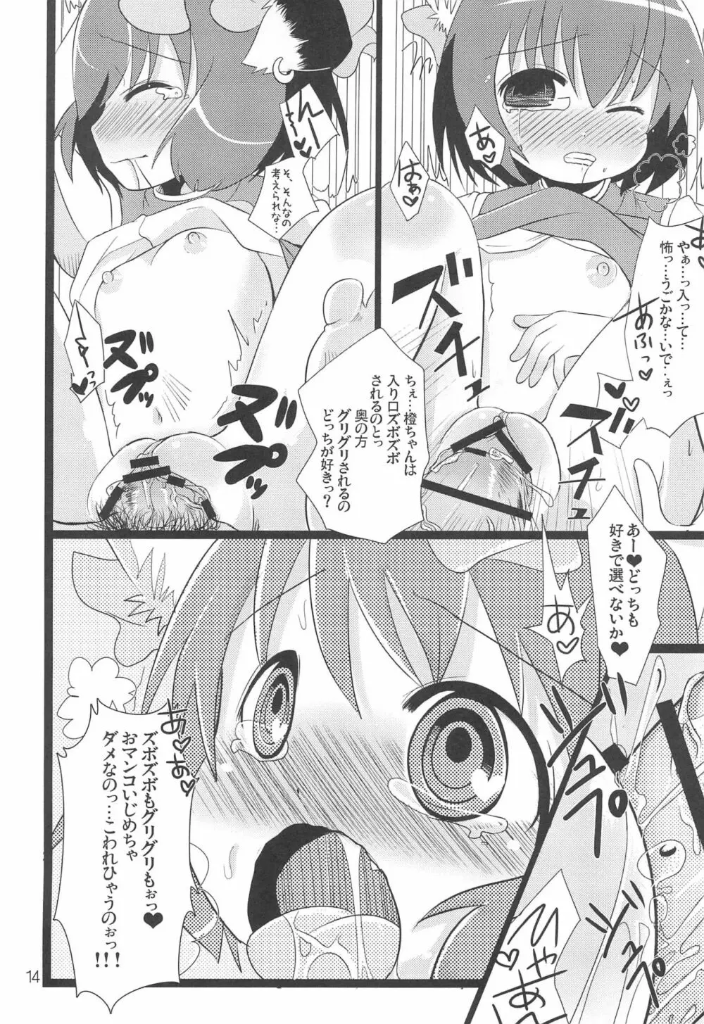 チェンクルスタースプライツ Page.14