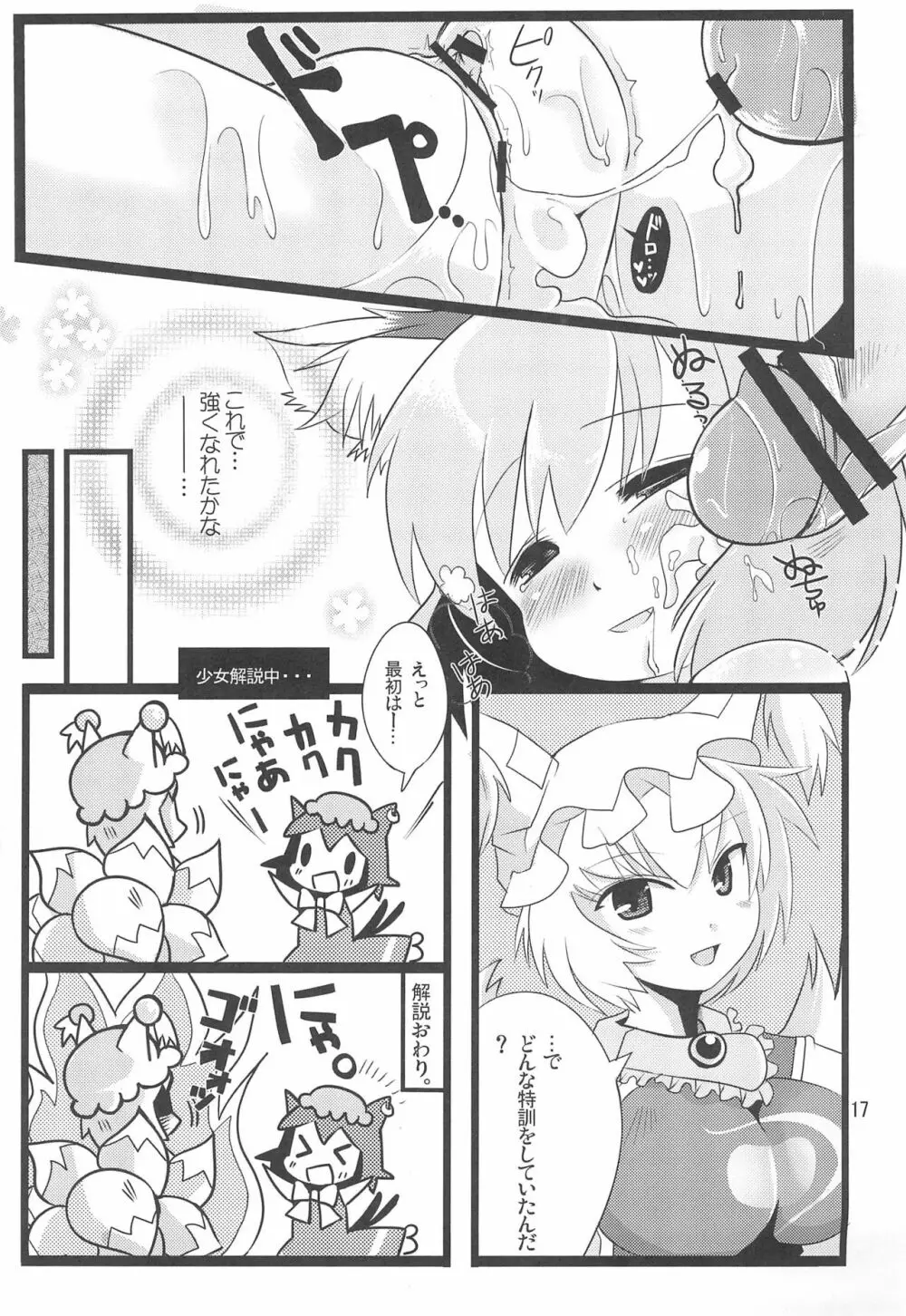 チェンクルスタースプライツ Page.17