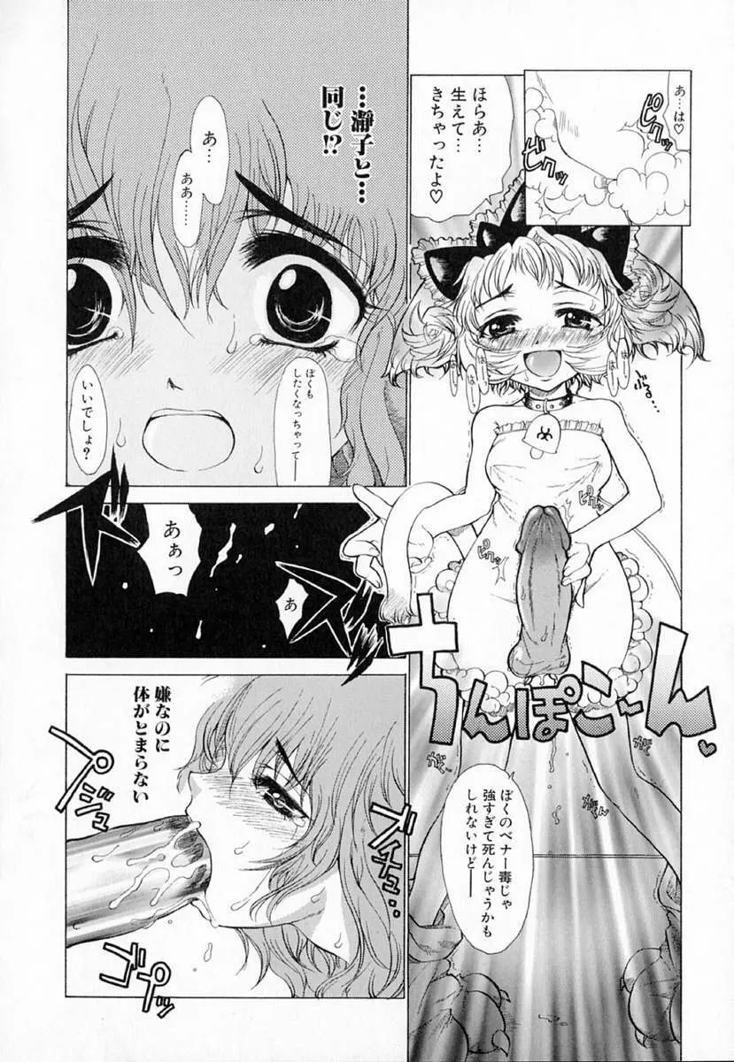 アストロメイド Page.33