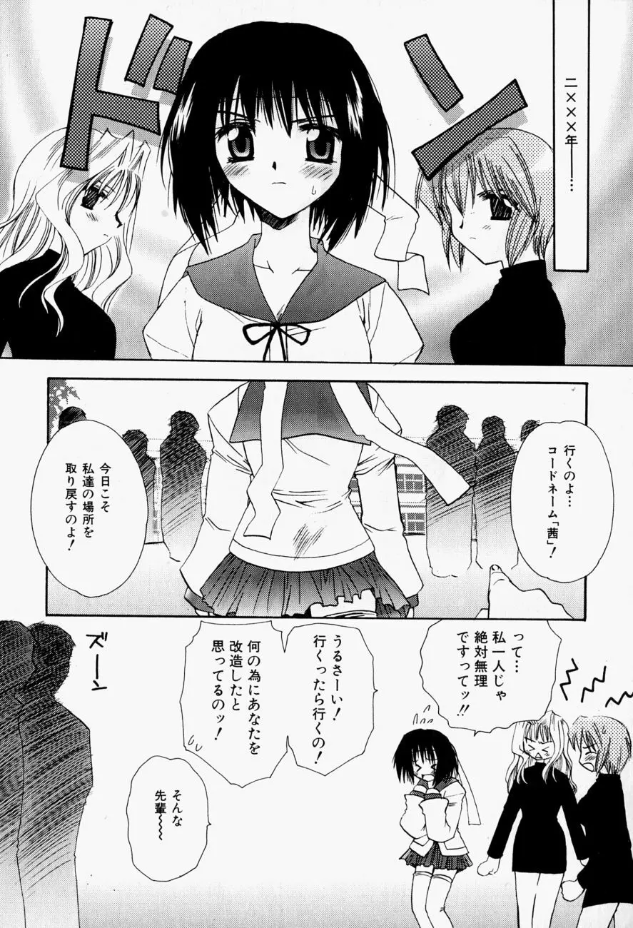 ひがわりランチ Page.94