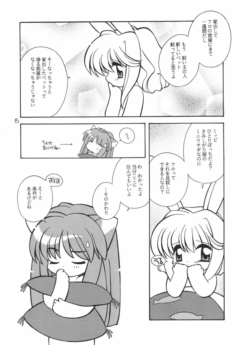 ひみつにっき Page.17