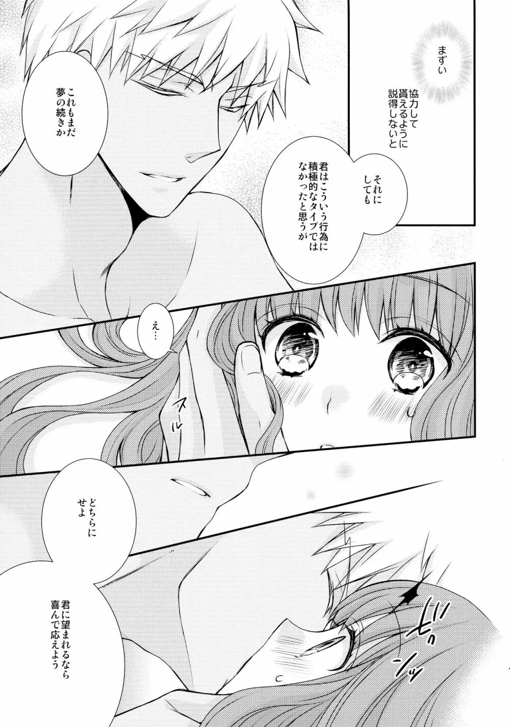 いつかの未来と過去の夢 Page.13