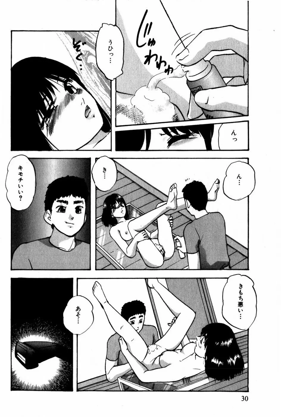 翔んじゃうこころ Page.31