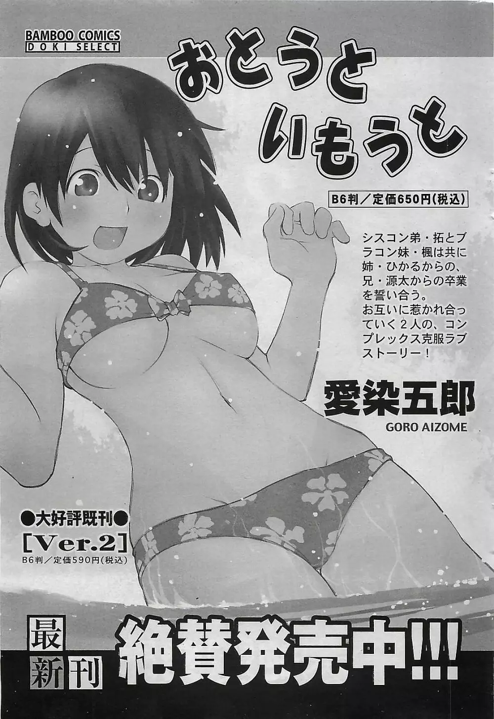 月刊ドキッ! 2009年7月号 Vol.153 Page.247