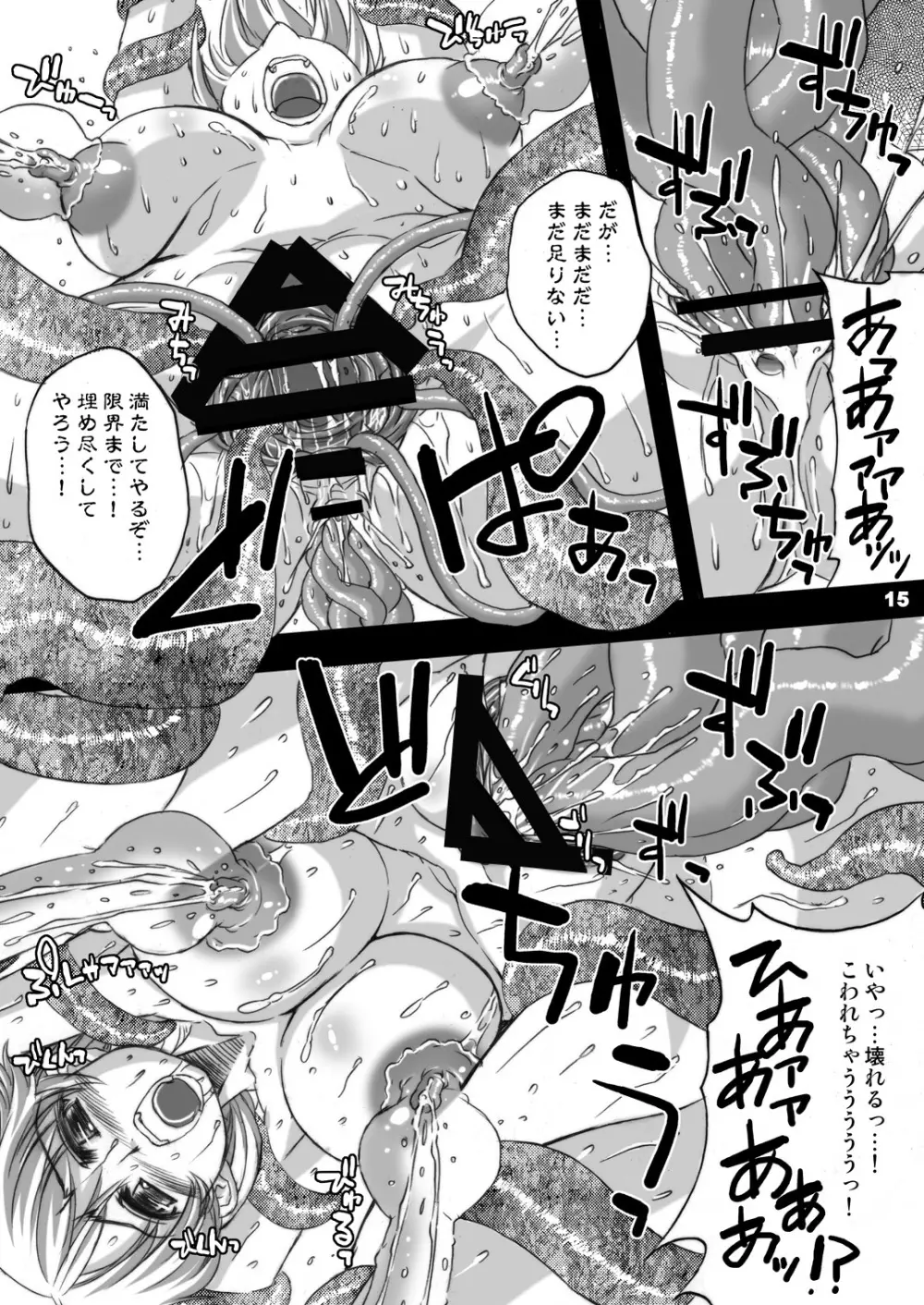 ソウルスレイヴ ～聖戦士乳辱～ Page.14