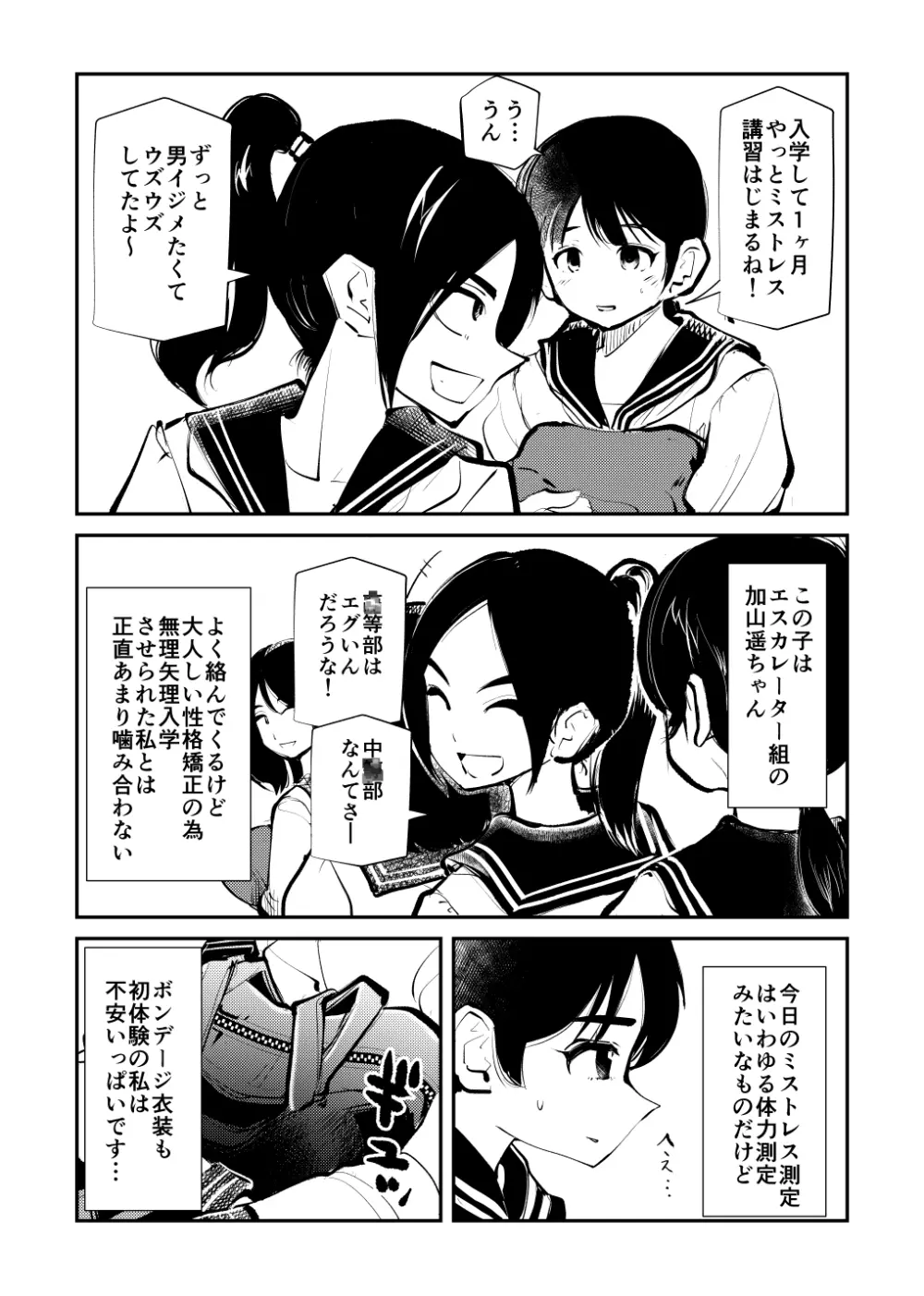 ミストレス測定 Page.6