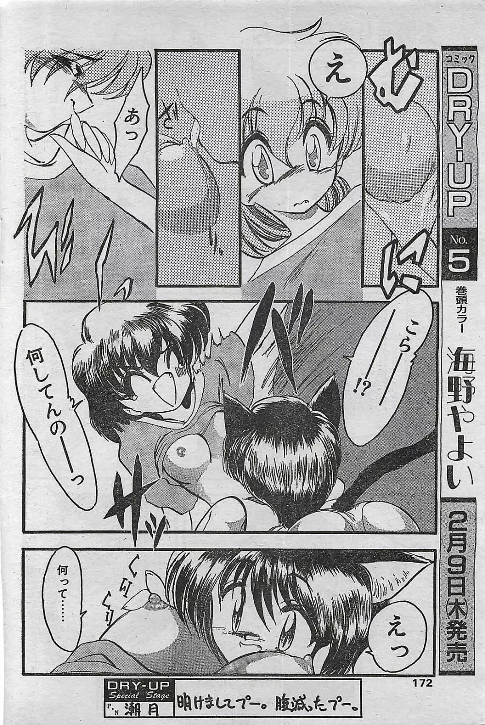 COMIC ドライ-アップ No.4 1995年02月号 Page.172