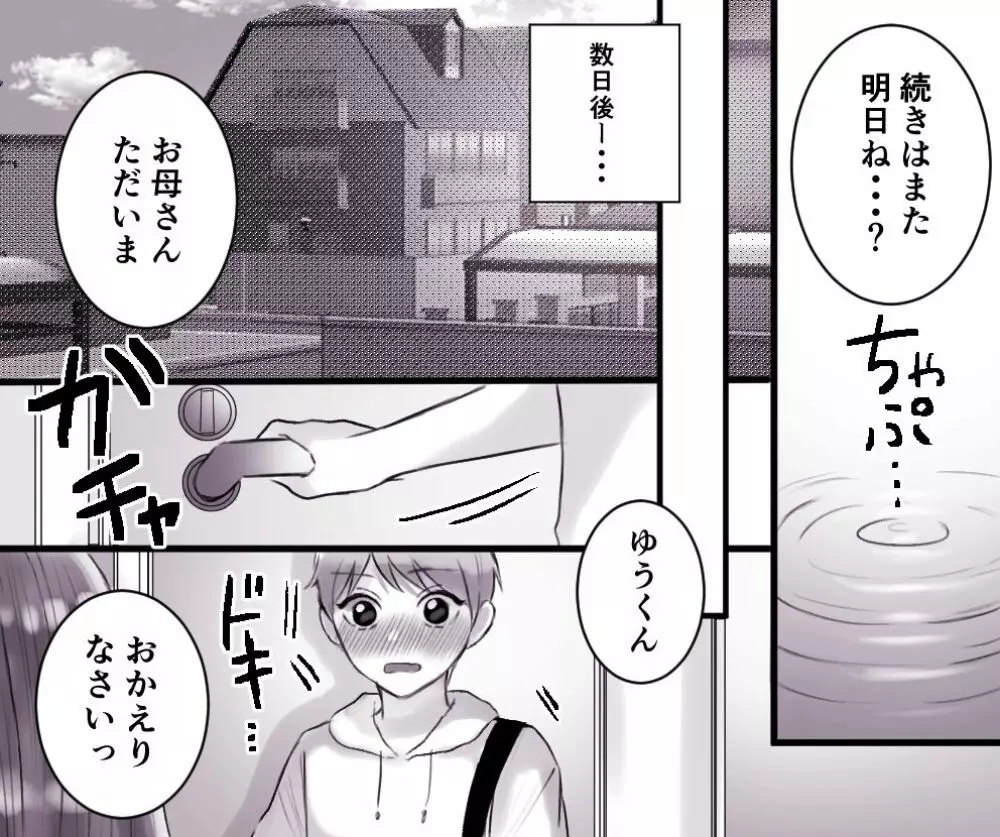 お母さんとボクのSEX事情 ～性教育も必要よね?～ Page.30