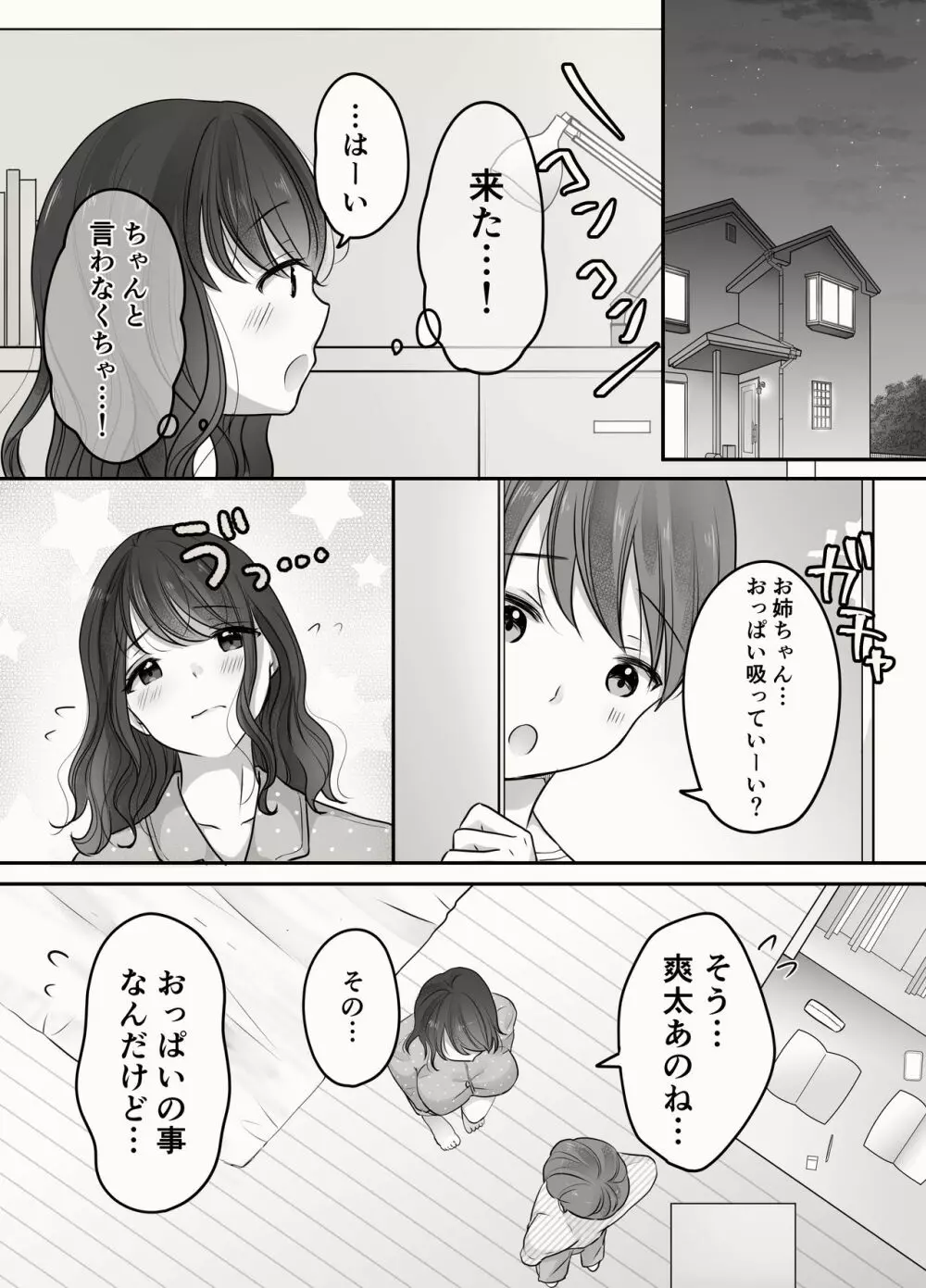 姉と弟のえっちなルーティーン Page.25