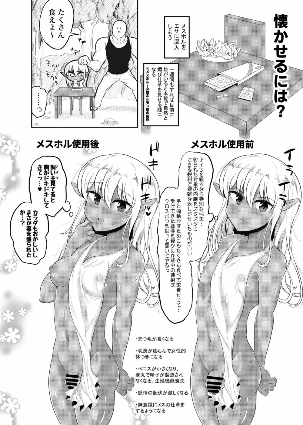 褐色エルフくん♂の飼い方 Page.12