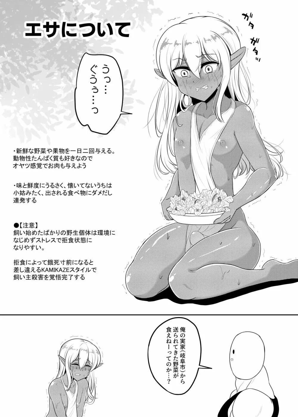 褐色エルフくん♂の飼い方 Page.9