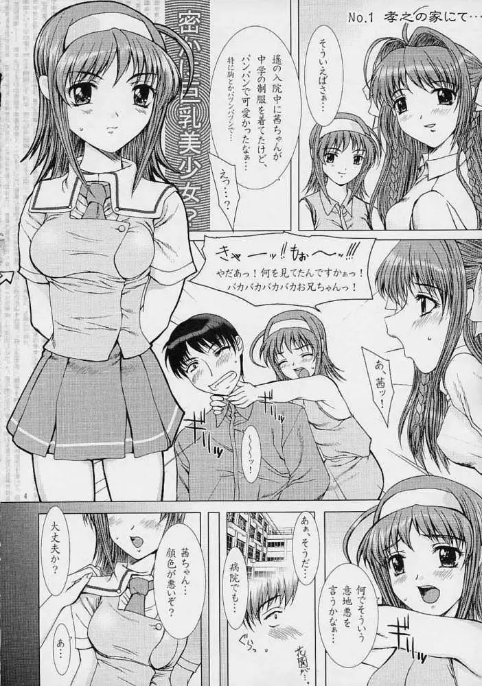 Kimi Ga Nozomu Eien - Precious Heart - Mousou Kine Bi Page.3