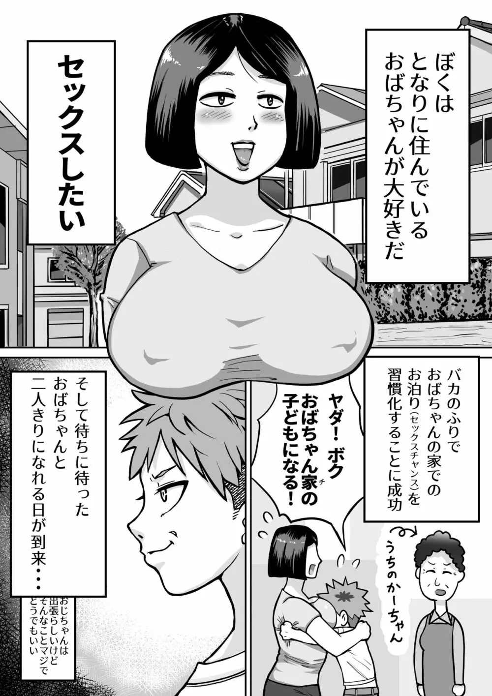 僕の大好きなおばちゃん Page.3